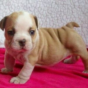 Meet your Posher, Fernando